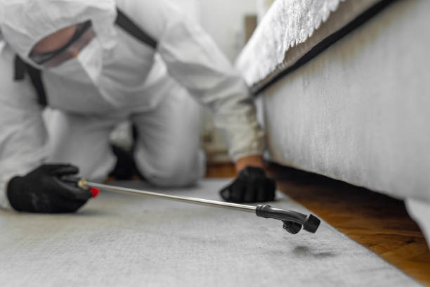Professional Bed Bug Control technician working in Orangevale, CA