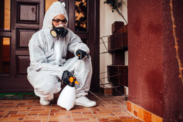 Reliable Bed Bug Control contractor in Orangevale, CA by Nex Pest Control